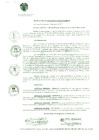 Vista preliminar de documento 0125-2017-MDSJL