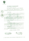 Vista preliminar de documento 0182-2017-MDSJL