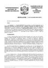 Vista preliminar de documento Resolución N° 0072-2022/SBN-DGPE-SDAPE