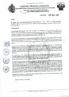 Vista preliminar de documento RD N°222.pdf