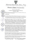 Vista preliminar de documento RA-N-010-2022-MDSA