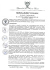 Vista preliminar de documento RA-N-018-2022-MDSA