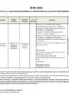 Vista preliminar de documento Base
