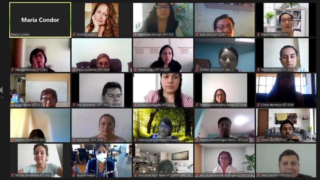 Minsa capacita a asistentes técnicos territoriales para fortalecer la lucha contra la anemia y la desnutrición crónica infantil