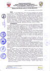 Vista preliminar de documento resolucion-alcaldiaN101.pdf