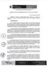 Vista preliminar de documento Resolución 041-2022-IPD/P - OIC: Conclusión y designación