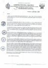 Vista preliminar de documento RD N°224.pdf