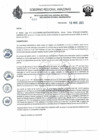 Vista preliminar de documento RD N°228.pdf