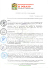 Vista preliminar de documento ORDENANZA 06.pdf