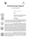 Vista preliminar de documento RER  045-2022-GRSM-GR