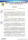 Vista preliminar de documento Acuerdo de Concejo Nº 020-SE-MDH-2020