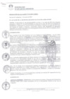 Vista preliminar de documento 0315-2019-MDSJL