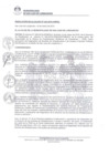 Vista preliminar de documento 0343-2019-MDSJL