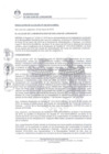 Vista preliminar de documento 0348-2019-MDSJL
