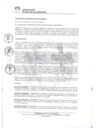 Vista preliminar de documento 0347-2019-MDSJL