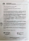 Vista preliminar de documento 1339-2019-MDSJL