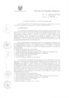Vista preliminar de documento R.E.R. Nro 133-2022-GR-GR PUNO.pdf
