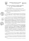Vista preliminar de documento Resolución de Gerencia General