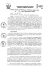 Vista preliminar de documento Resolución de Gerencia General
