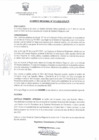 Vista preliminar de documento ACUERDO REGIONAL    13.PDF