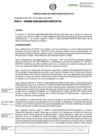 Vista preliminar de documento RDE-000080-2022-DE