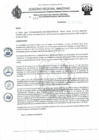 Vista preliminar de documento RD N°229.pdf