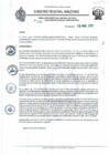 Vista preliminar de documento RD N°230.pdf