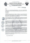 Vista preliminar de documento RD N°234.pdf