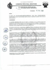 Vista preliminar de documento RD N°236.pdf