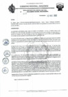 Vista preliminar de documento RD N°237.pdf
