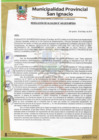 Vista preliminar de documento RESOLUCIÓN DE ALCALDÍA N° 445-2019-MPSI.pdf