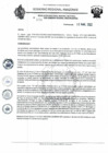 Vista preliminar de documento RD N°238.pdf
