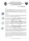 Vista preliminar de documento RD N°125.pdf