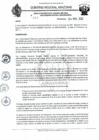 Vista preliminar de documento RD N°141.pdf