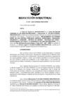 Vista preliminar de documento RD 207-2022-Liquidacion Final-Conv. N 001-2020-CUS.pdf