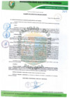 Vista preliminar de documento Documento (62).pdf