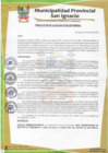 Vista preliminar de documento RESOLUCIÓN DE ALCALDÍA N°458-2019-MPSI.pdf