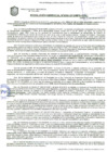 Vista preliminar de documento Resolución de la Gerencia de Desarrollo Económico Local N° 0065-2019/MPS-GDEL