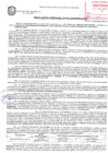 Vista preliminar de documento Resolución de la Gerencia de Desarrollo Económico Local N° 0173-2019/MPS-GDEL