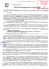 Vista preliminar de documento Resolución de la Gerencia de Desarrollo Económico Local N° 0171-2019/MPS-GDEL