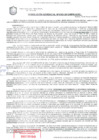 Vista preliminar de documento Resolución de la Gerencia de Desarrollo Económico Local N° 0183-2019/MPS-GDEL