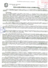 Vista preliminar de documento Resolución de la Gerencia de Desarrollo Económico Local N° 0260-2019/MPS-GDEL