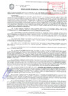 Vista preliminar de documento Resolución de la Gerencia de Desarrollo Económico Local N° 0303-2019/MPS-GDEL
