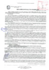 Vista preliminar de documento Resolución de la Gerencia de Desarrollo Económico Local N° 0317-2019/MPS-GDEL