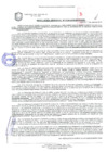 Vista preliminar de documento Resolución de la Gerencia de Desarrollo Económico Local N° 0338-2019/MPS-GDEL