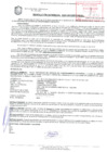 Vista preliminar de documento Resolución de la Gerencia de Desarrollo Económico Local N° 0343-2019/MPS-GDEL