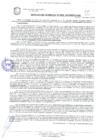 Vista preliminar de documento Resolución de la Gerencia de Desarrollo Económico Local N° 0355-2019/MPS-GDEL