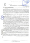 Vista preliminar de documento Resolución de la Gerencia de Desarrollo Económico Local N° 0395-2019/MPS-GDEL