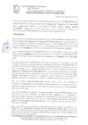 Vista preliminar de documento Resolución de la Gerencia de Desarrollo Económico Local N° 0530-2019/MPS-GDEL