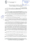 Vista preliminar de documento Resolución de la Gerencia de Desarrollo Económico Local N° 0875-2019/MPS-GDEL